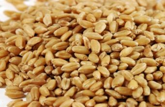 Southern Africa’s food security expected to improve