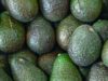 ‘Export of Hass Avocados to Europe an opportunity for local farmers to access regional and international markets’