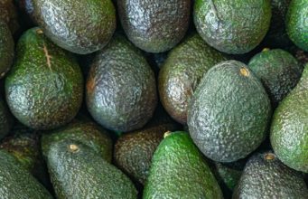Agro experts call for policies to encourage local fruit production and processing