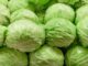 President Hichilema concerned by an increase in dumping of produce on the market