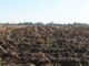 New systems for better yields and soil maintenance endorsed by govt