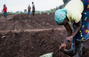 US shows commitment to African economies