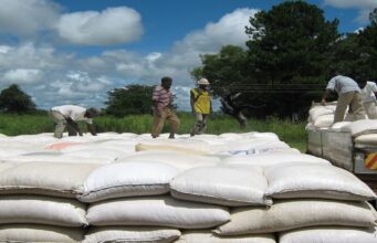 FRA Starts Paying Cash Immediately For Delivered Maize