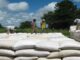 FRA Starts Paying Cash Immediately For Delivered Maize