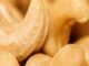 Barotse Cashew Company Goes Under, Assets Up for Sale