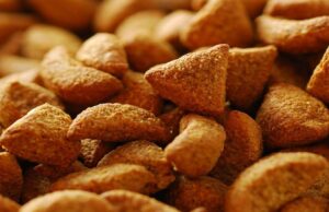 Africa’s Food Dilemma: Can the Continent Feed Itself?