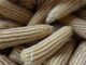 Drought Devastation: Zambia Seeks Solutions to Agricultural Crisis