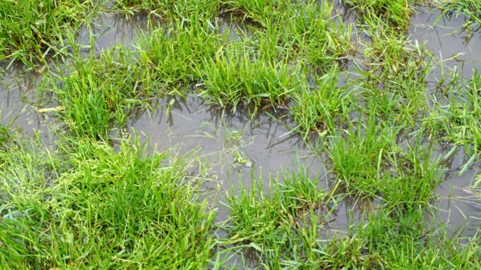 Farmers Threaten to Sue Chinese Miner Over Toxic Spill