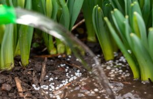 Zambia Targets Fertiliser Self-Sufficiency by 2026