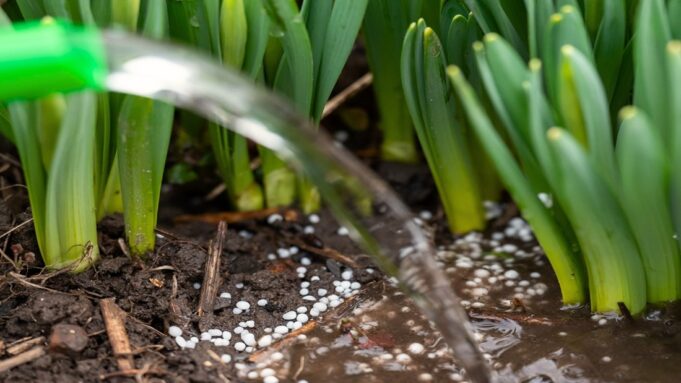 Zambia Targets Fertiliser Self-Sufficiency by 2026