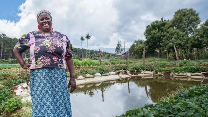 Mining Boom Poses Survival Test for Zambian Agriculture