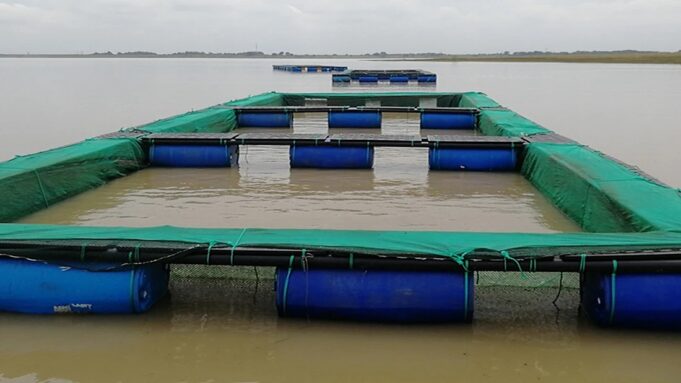 Fishers Are Rewriting Their Future on the Zambezi