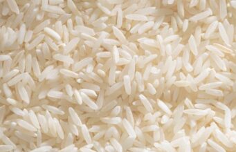 Zambian Rice Ambitions Set to Grow Through Strategic Vietnamese Partnership