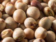 Plant health for food security – ICRISAT