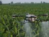 Drones and the Limits of AgTech in Zambia – Updates