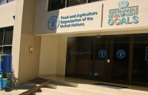 FAO’s Forest and Farm Facility Project