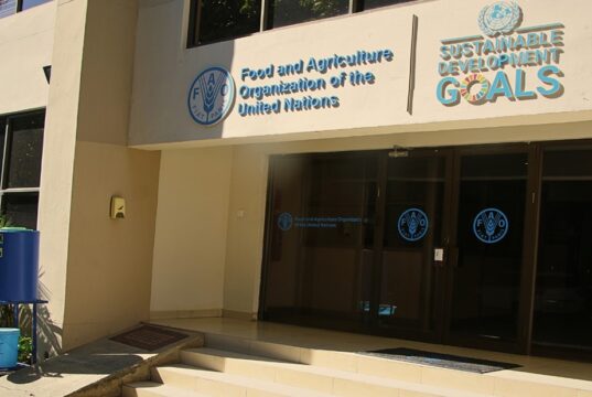 FAO’s Forest and Farm Facility Project