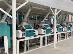 What African Buyers Should Ask a China Reliable Maize Mill Machine Supplier Like Burt Machinery