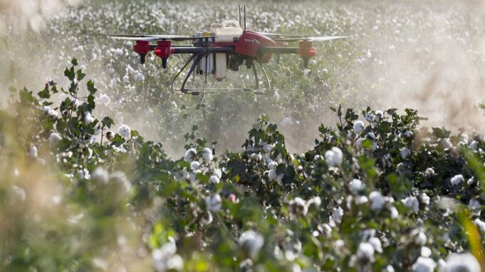 African Exporters Face New EU Pesticide Compliance Risk