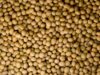 Rail Investment Opens a New Route for Agricultural Growth