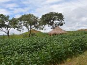 Southern Africa Is Turning Prisons into Powerhouses of Hope